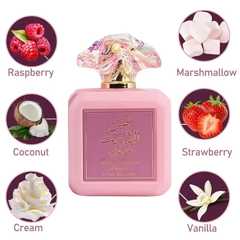 PERFUME PINK BLUSH Pink Mist F - Perfume Fragrance For Girls avaliação e preço